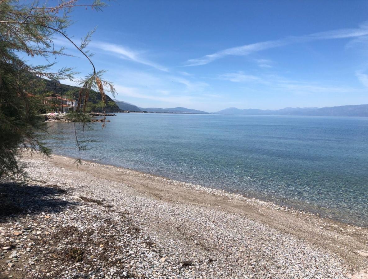 Paralia Platanou Seaview House Exteriör bild